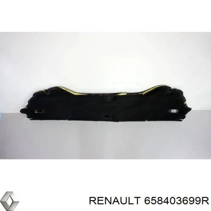 658403699R Renault (RVI)