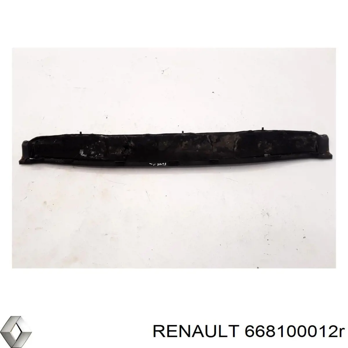 668100012R Renault (RVI)