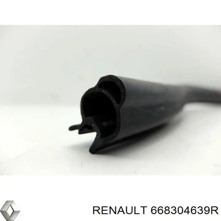 668304639R Renault (RVI)