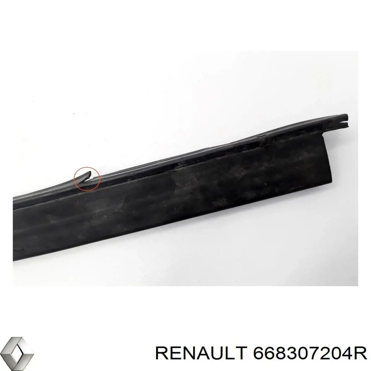 668307204R Renault (RVI)