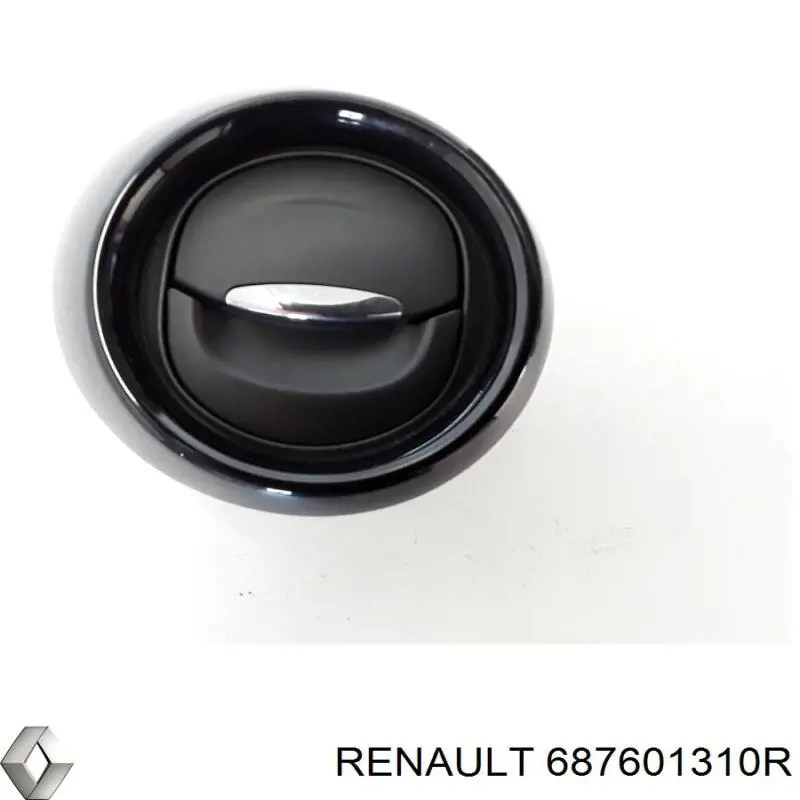 687601310R Renault (RVI)