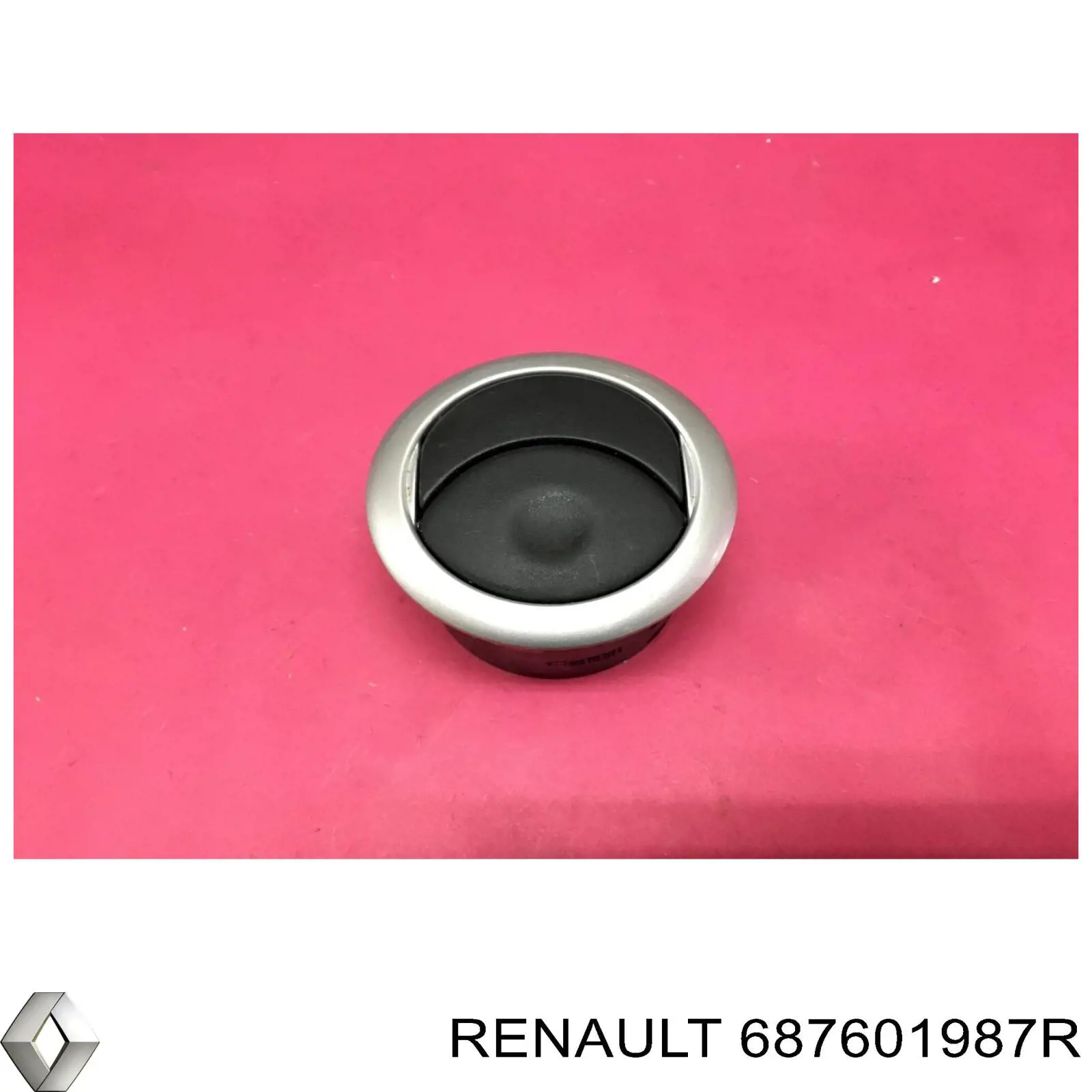 687601987R Renault (RVI) 