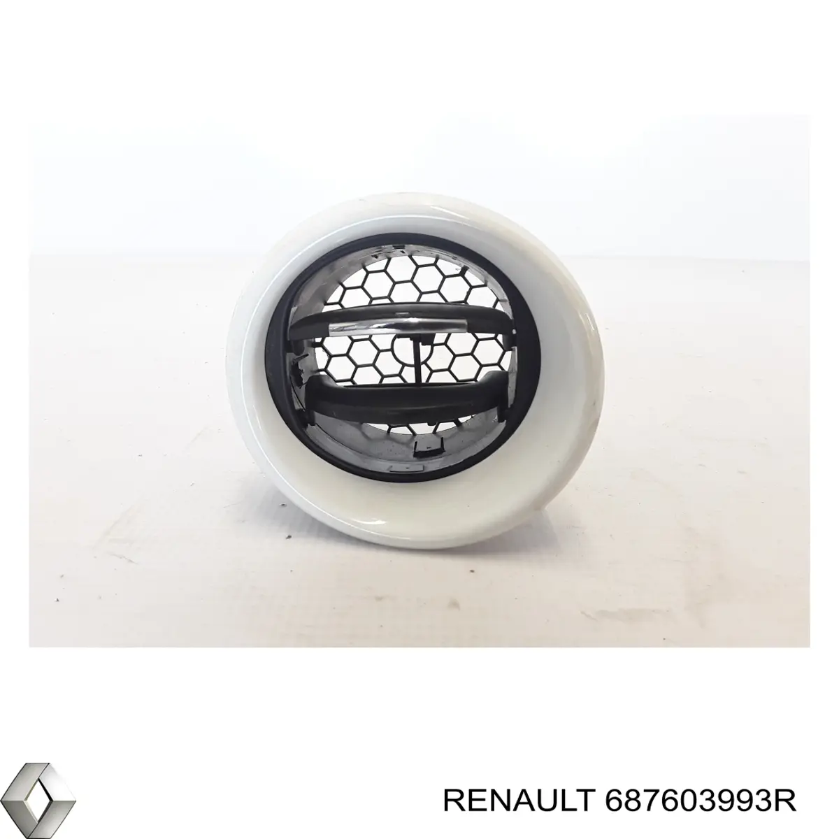 687603993R Renault (RVI)