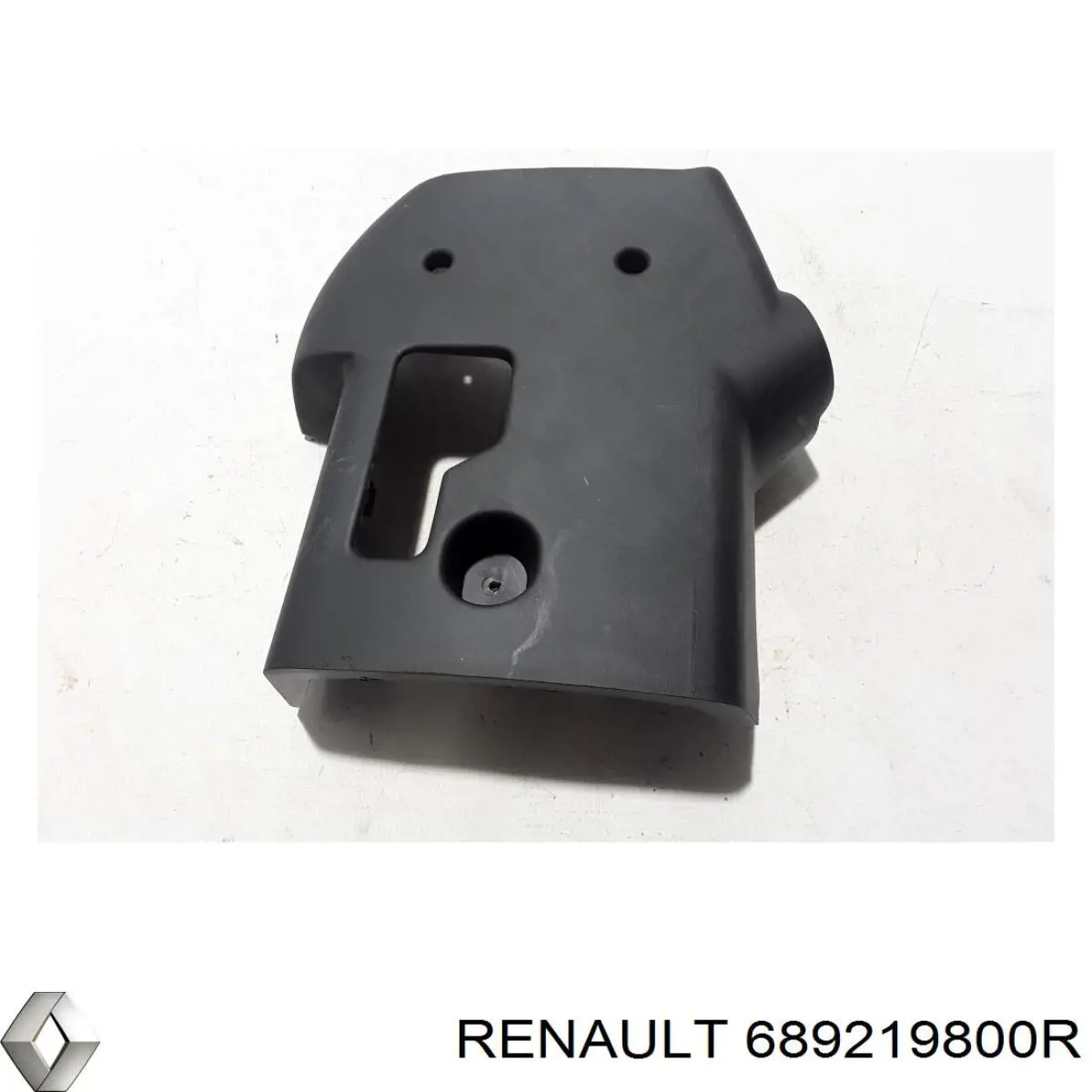  Renault (RVI) 689219800R precio, desde 85,67 EUR