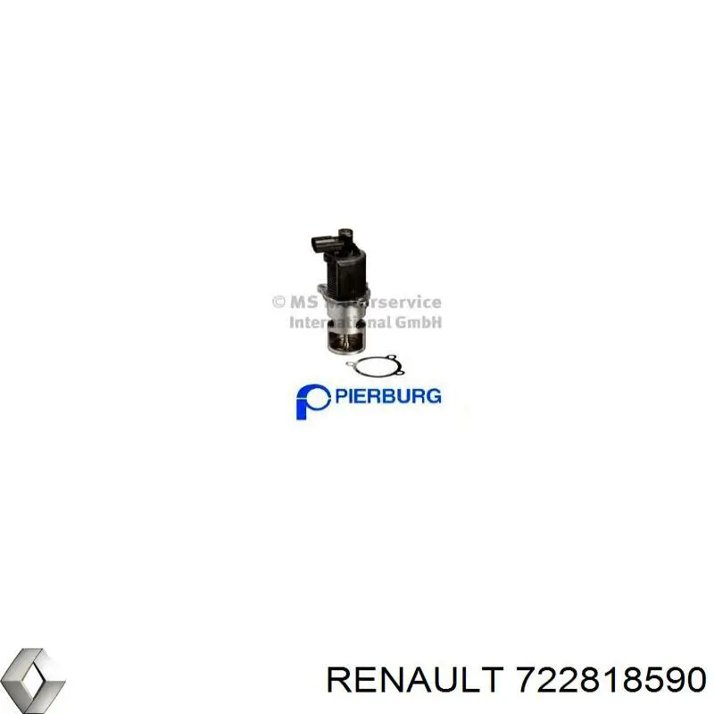 7.22818.59.0 Renault (RVI) válvula egr