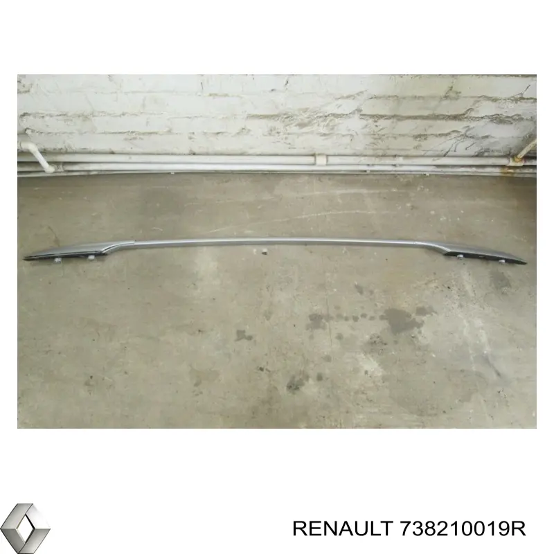 Riel de techo izquierdo Renault (RVI) 738210019R precio, desde 77,15 EUR
