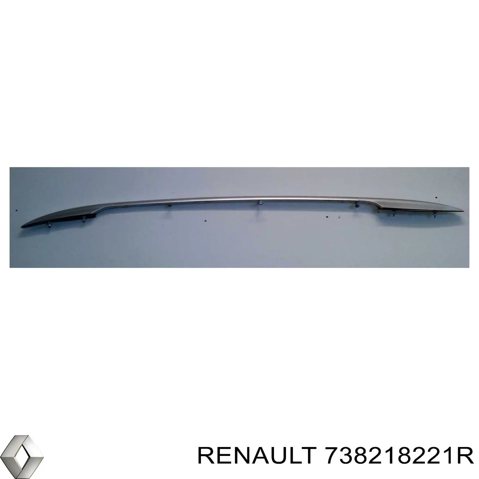 738218221R Renault (RVI)