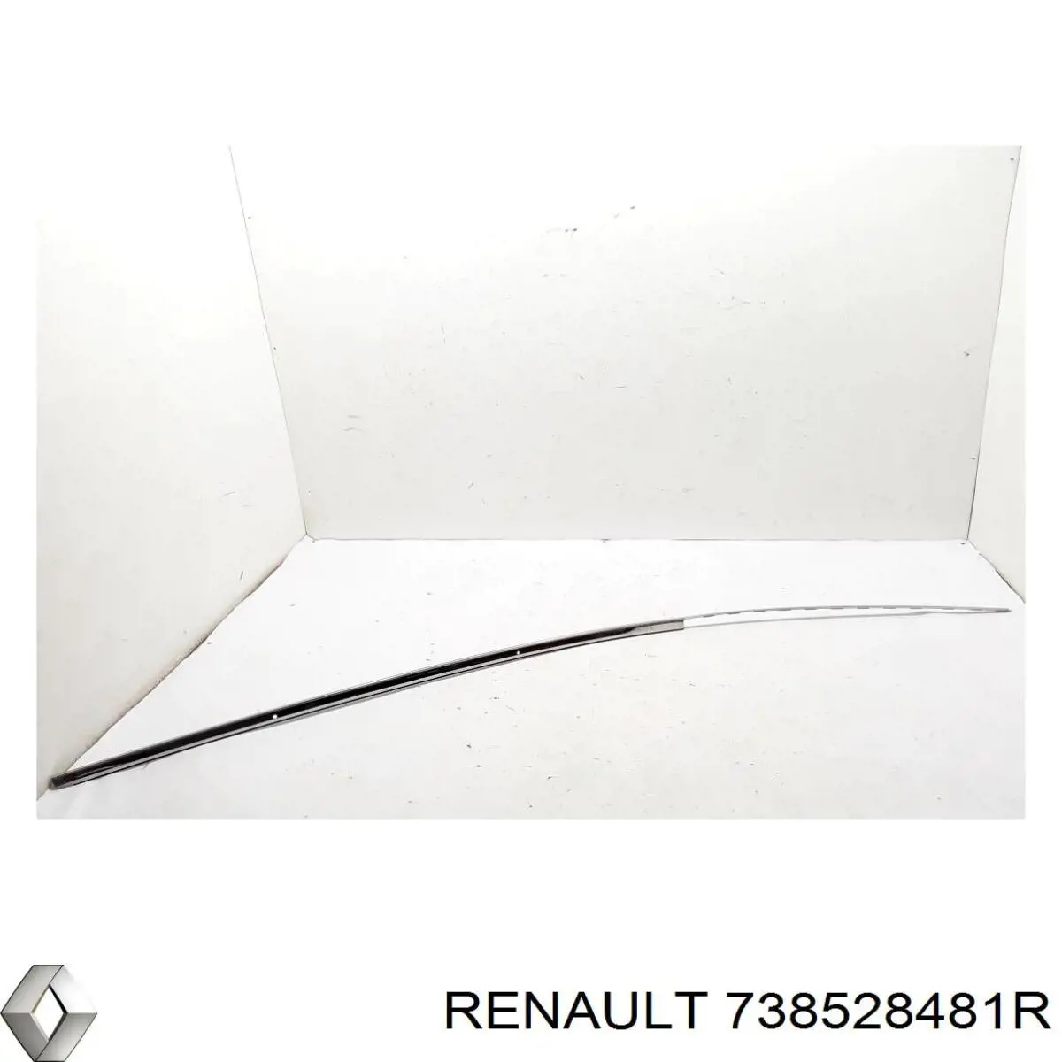 738528481R Renault (RVI)