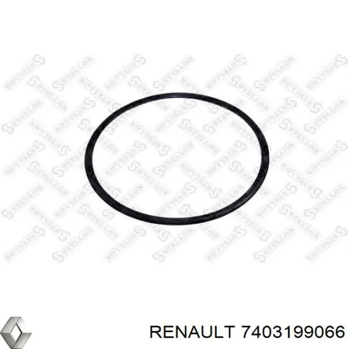 7403199066 Renault (RVI)