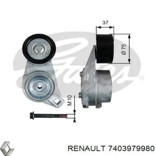 7403979980 Renault (RVI) tensor de correa, correa poli v