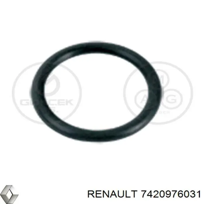 7420976031 Renault (RVI)