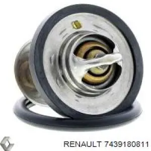 Comprar 350171A ERA Benelux Termostato