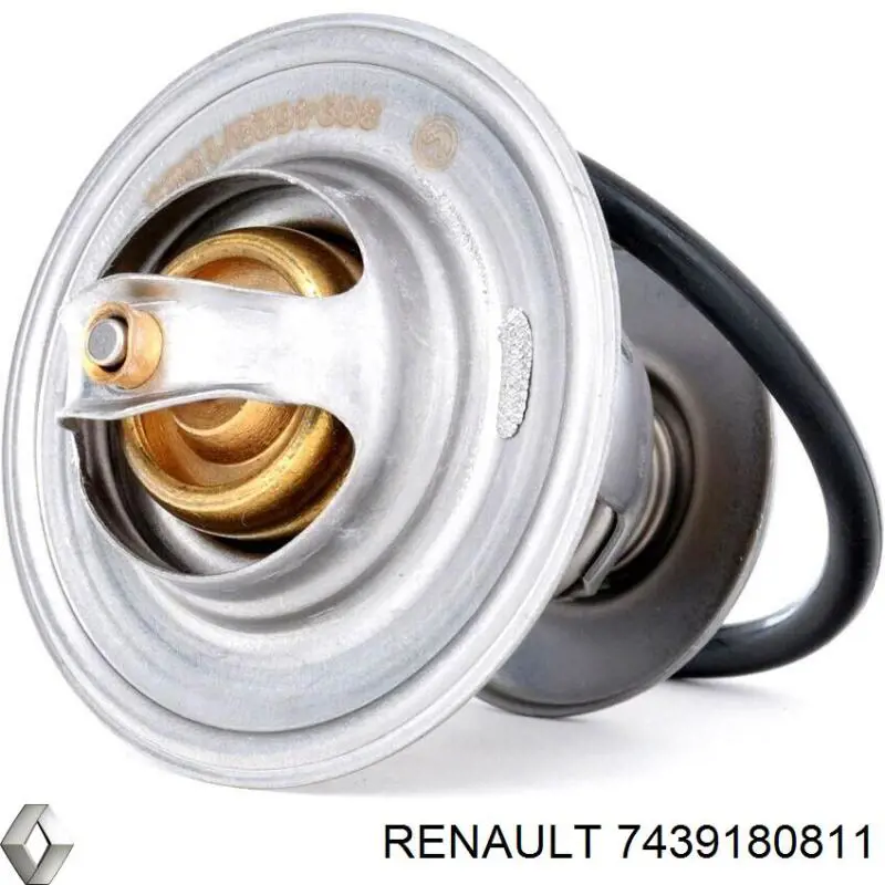 7439180811 Renault (RVI) termostato