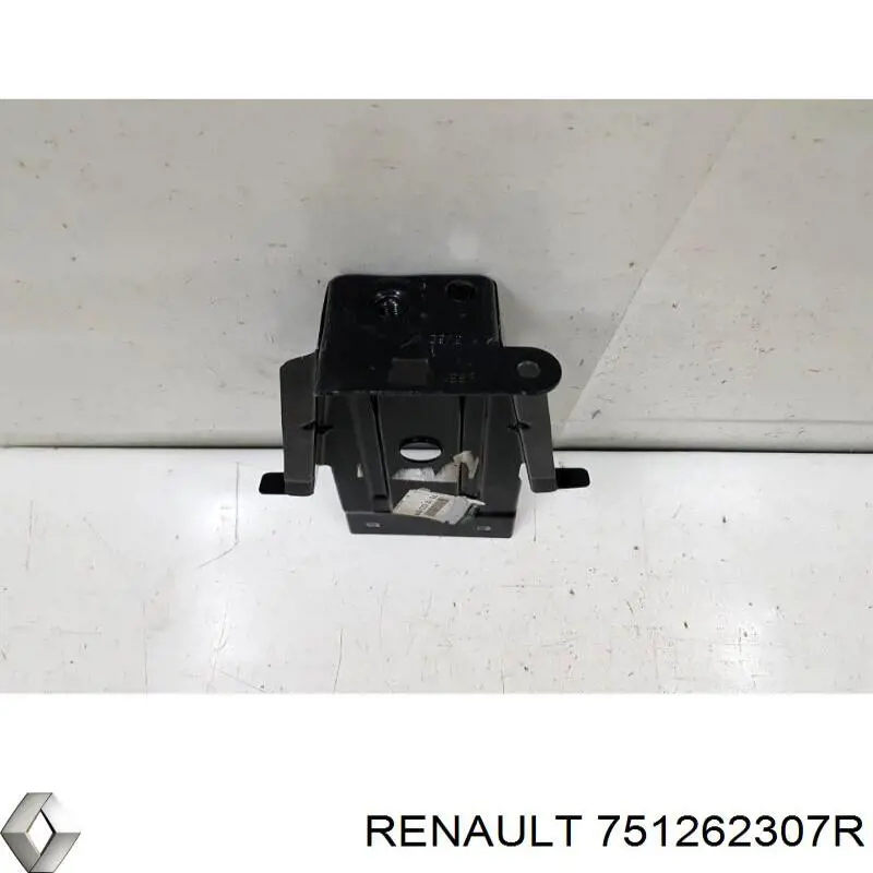Soporte del arco del guardabarros derecho Renault (RVI) 751262307R precio, desde 169,16 EUR