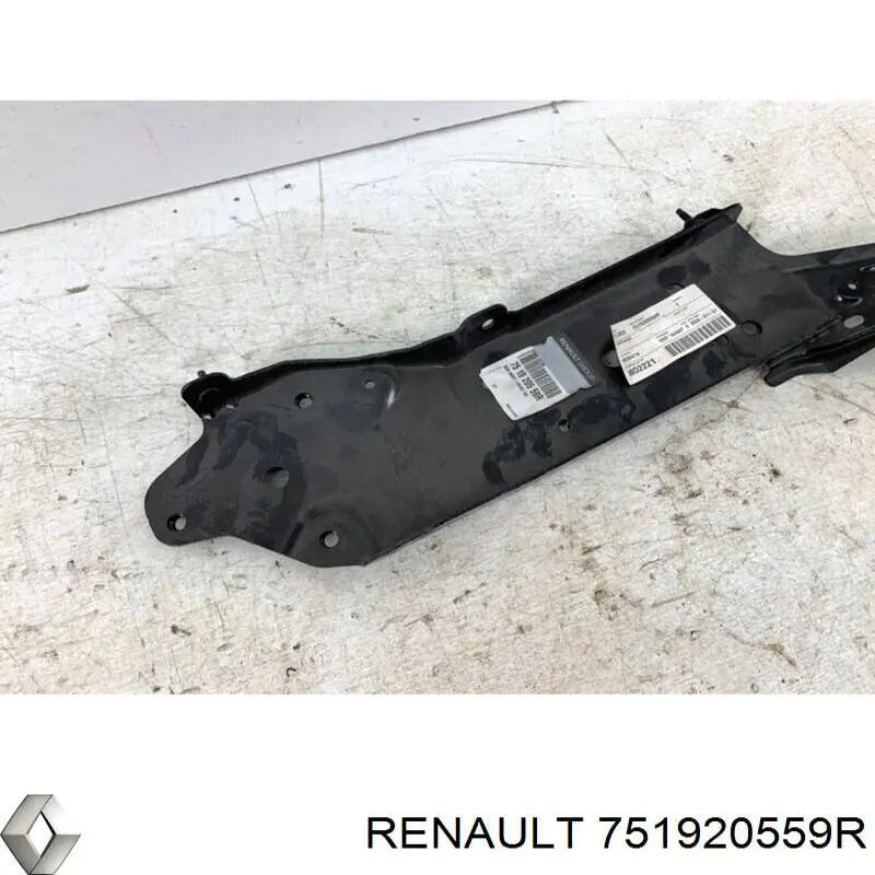 751920559R Renault (RVI)