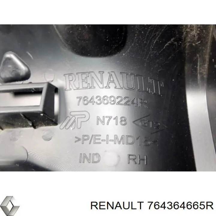 Listón de acceso exterior delantero derecho Renault (RVI) 764364665R