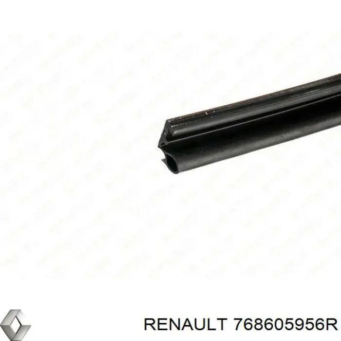 768605956R Renault (RVI)