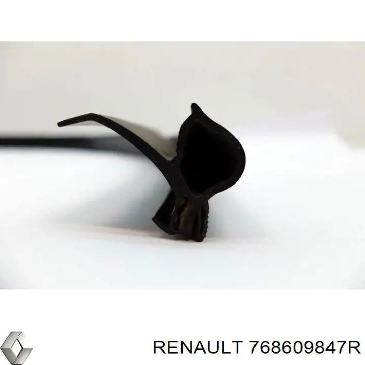 768609847R Renault (RVI) junta de puerta delantera derecha (en carrocería)
