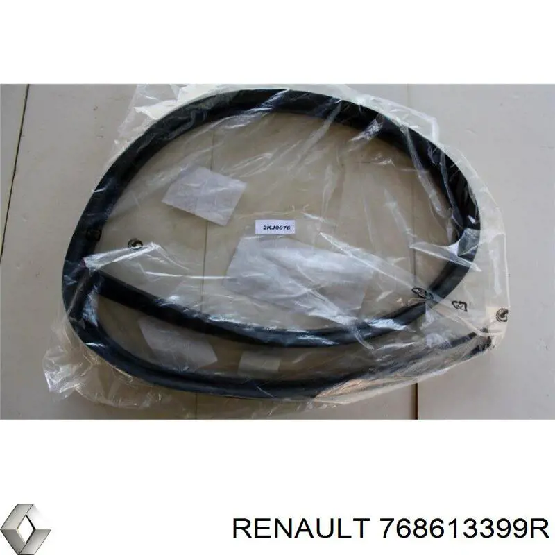 768613399R Renault (RVI)