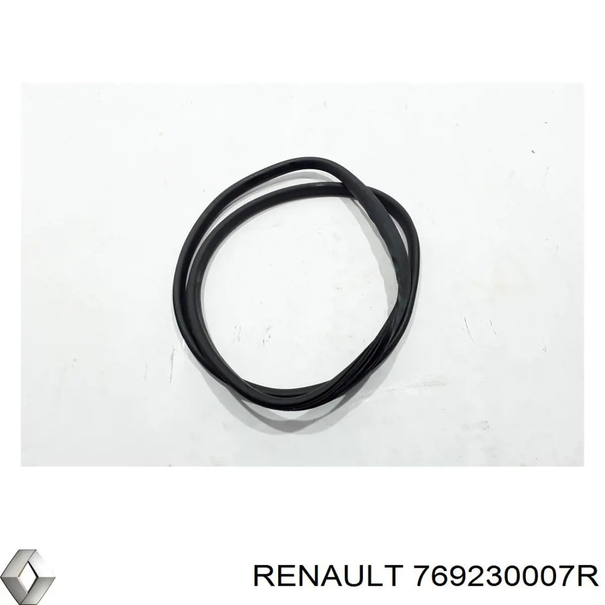 769230007R Renault (RVI)