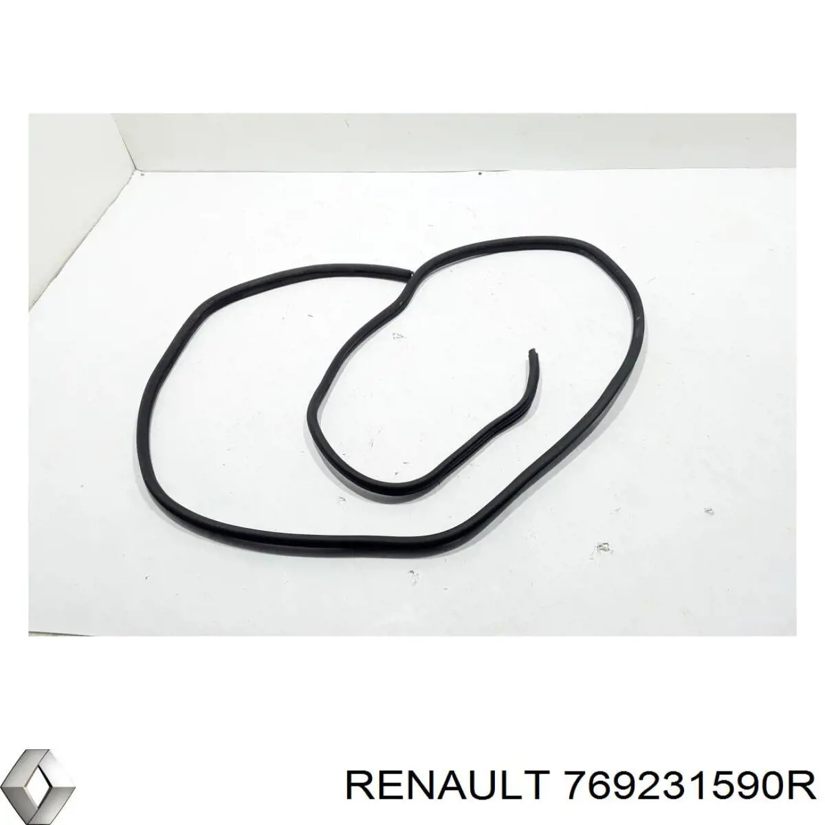 769231590R Renault (RVI)