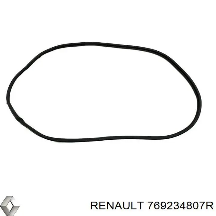 769234807R Renault (RVI)