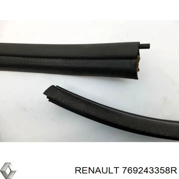 769243358R Renault (RVI)