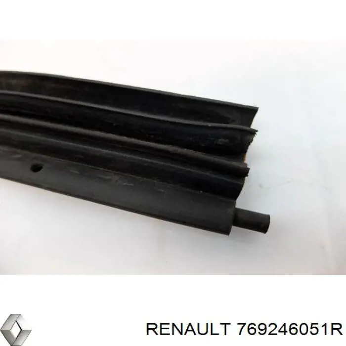 769246051R Renault (RVI)