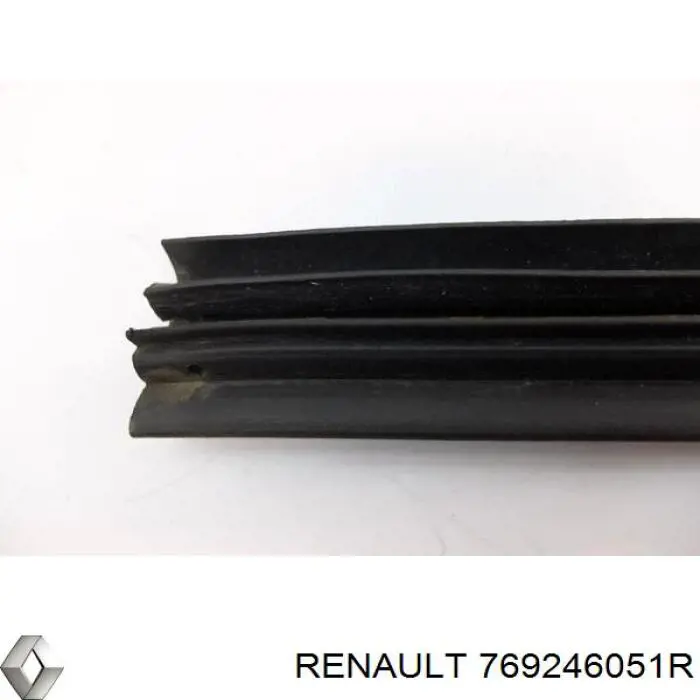 Comprar 769246051R Renault (RVI) Junta de puerta delantera izquierda