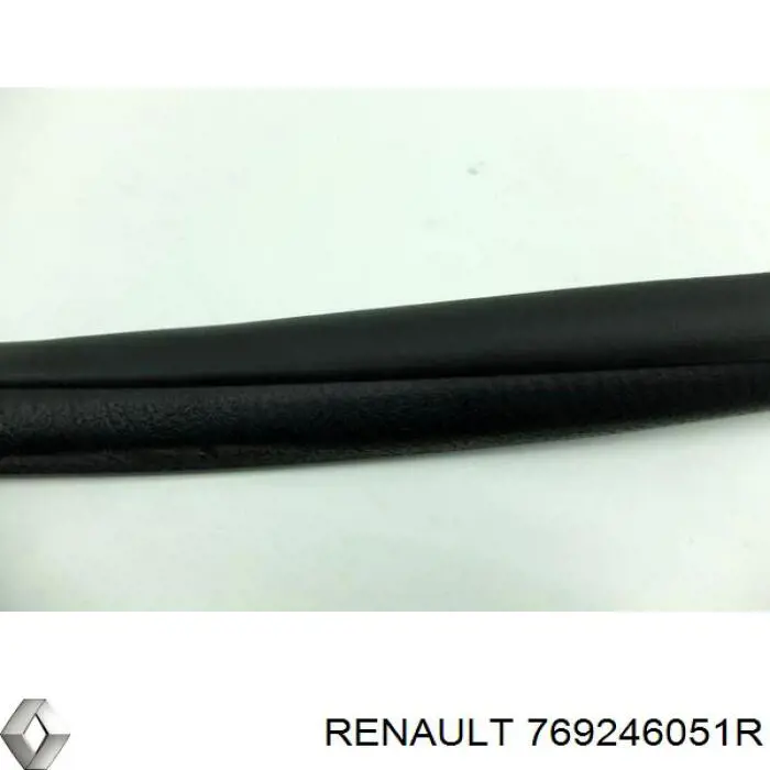 Junta de puerta delantera izquierda Renault (RVI) 769246051R precio, desde 16,71 EUR
