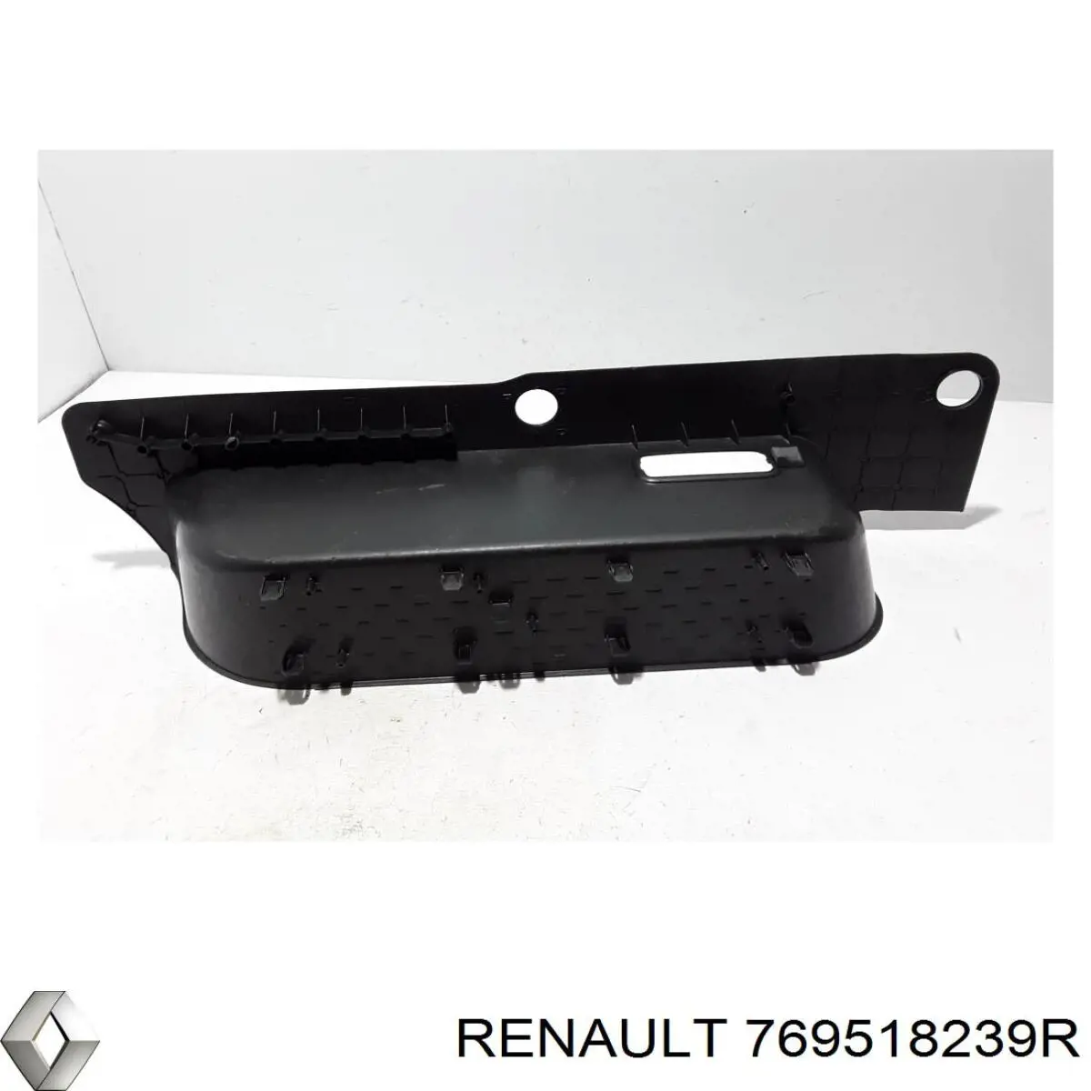 769518239R Renault (RVI)