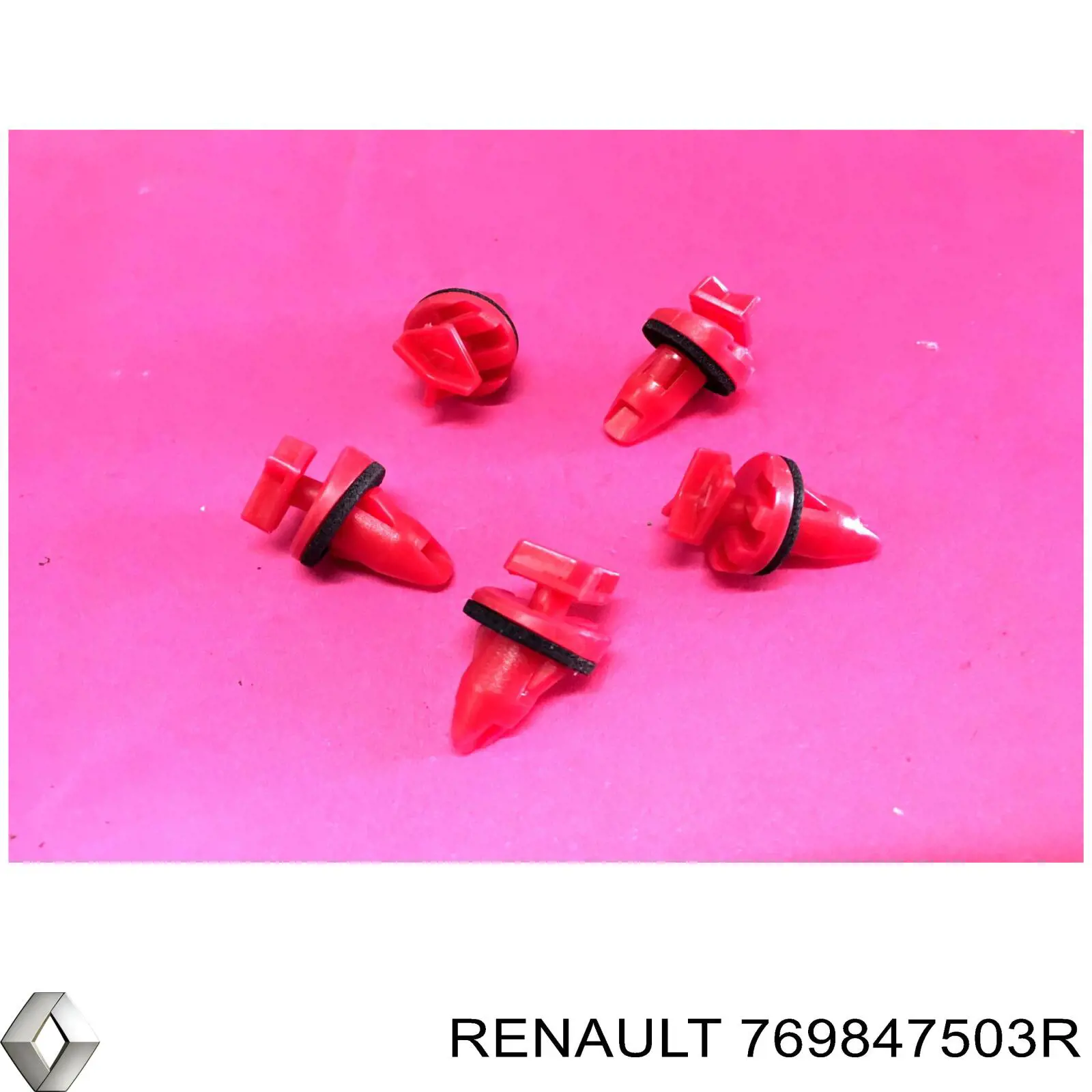 769847503R Renault (RVI)