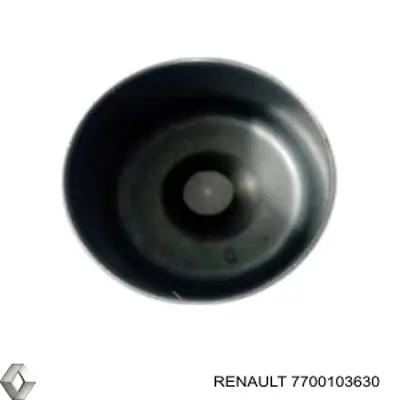 Comprar 7700103630 Renault (RVI) Taqués hidráulicos