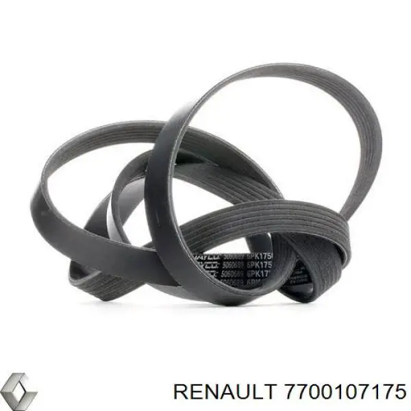 7700107175 Renault (RVI) correa trapezoidal