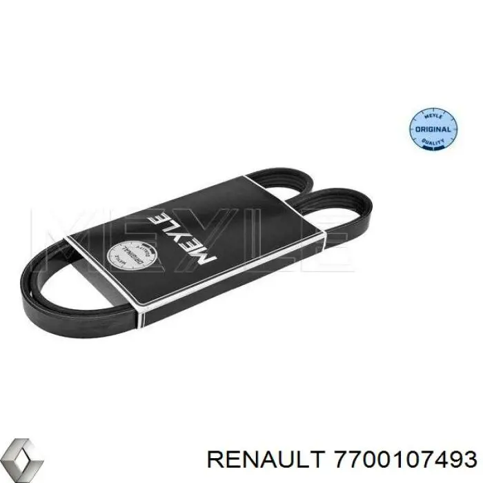 7700107493 Renault (RVI) Correa poly v