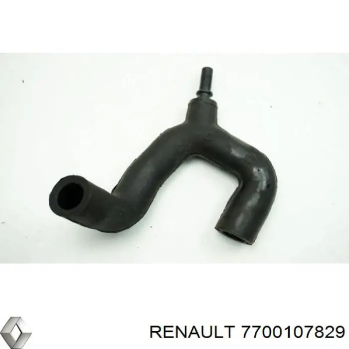 Comprar 7700107829 Renault (RVI) Manguera de agua refrigerante