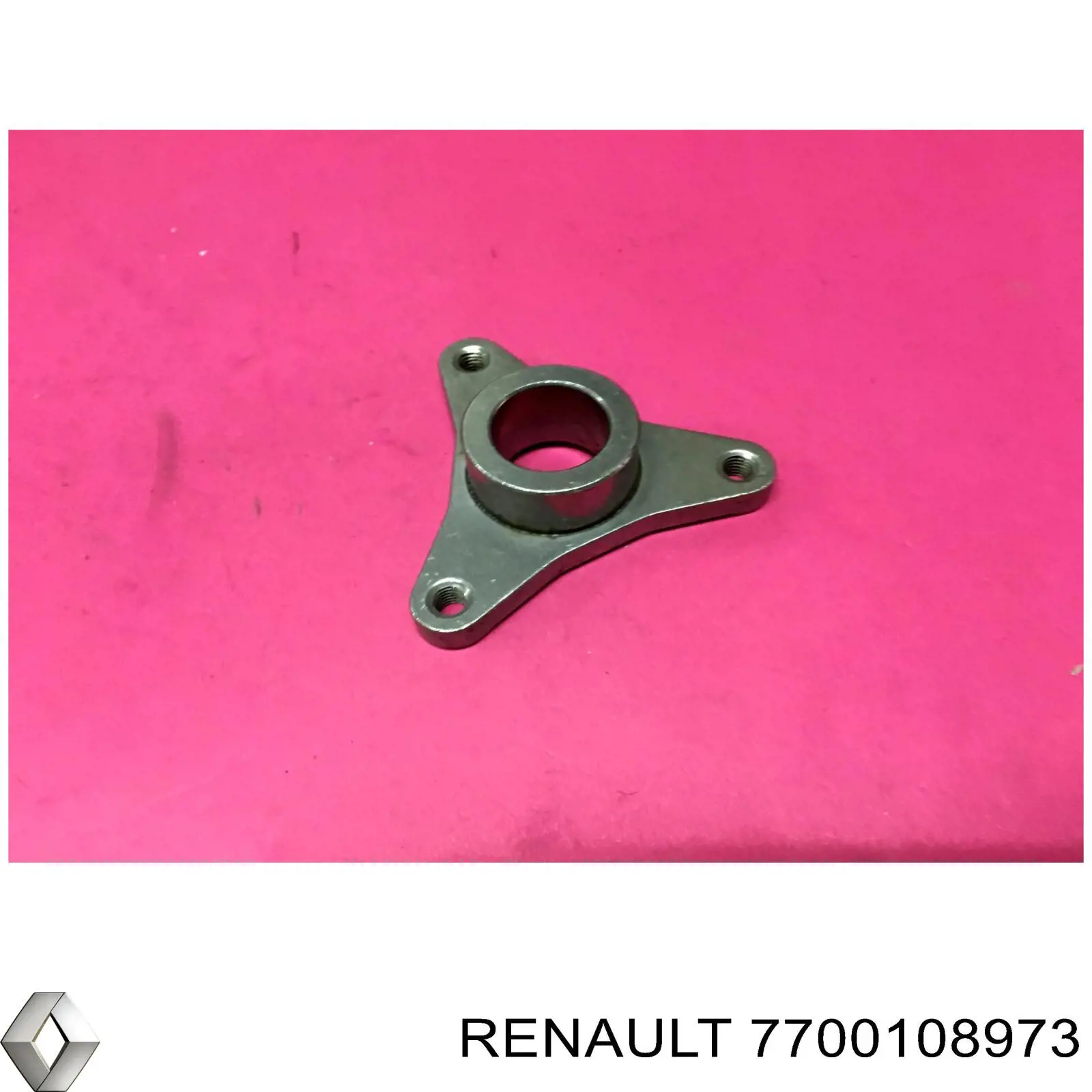 Buje de polea de bomba de dirección asistida Renault (RVI) 7700108973 precio, desde 4,45 EUR
