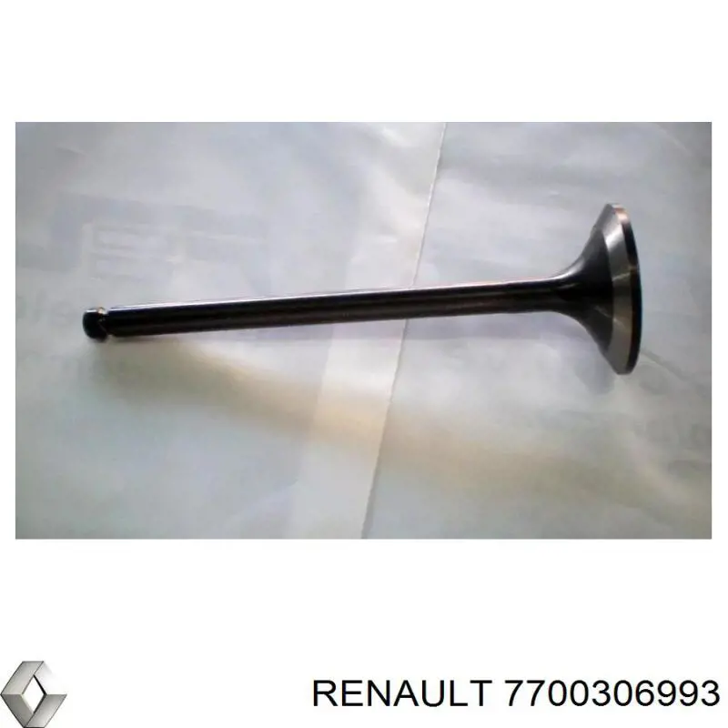 7700306993 Renault (RVI)