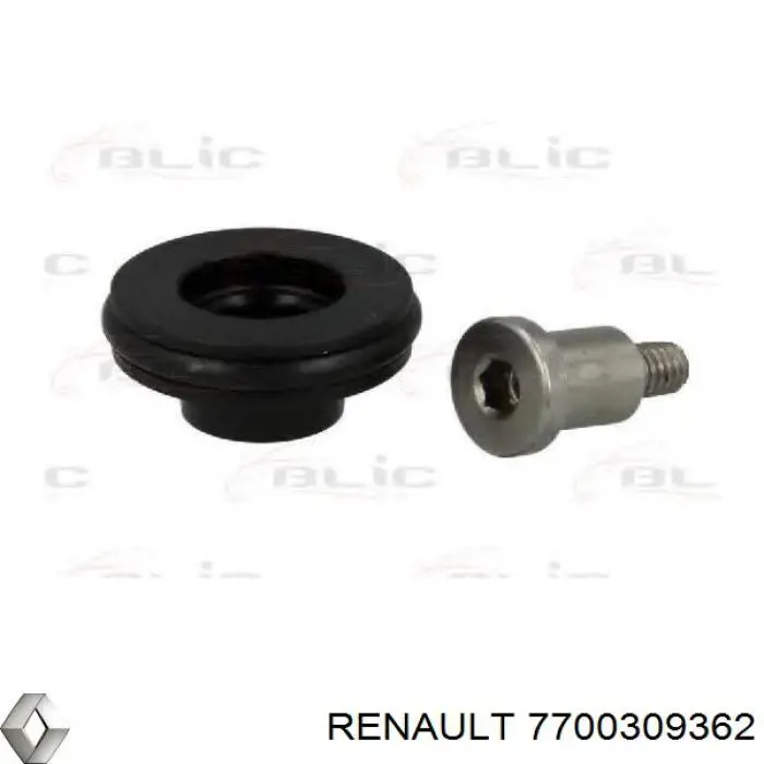 7700309362 Renault (RVI)