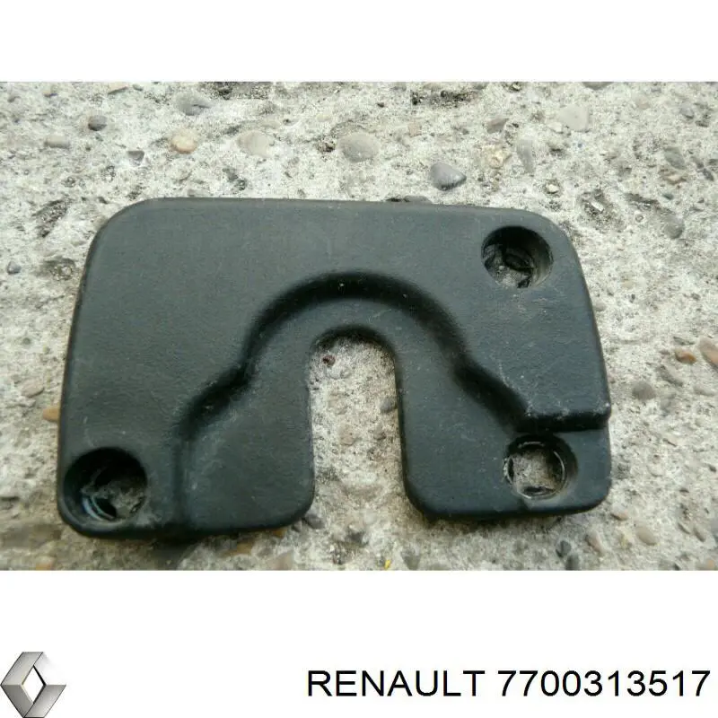 7700313517 Renault (RVI)