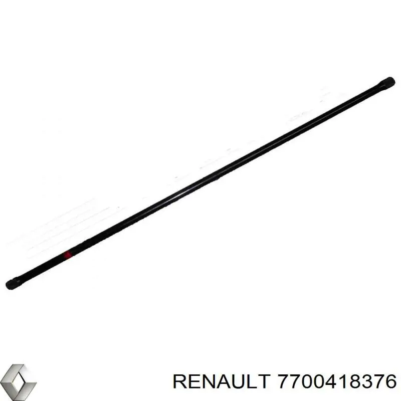 7700418376 Renault (RVI)