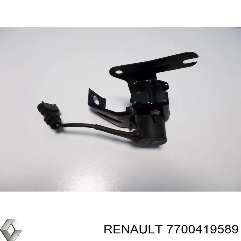 7700419589 Renault (RVI)