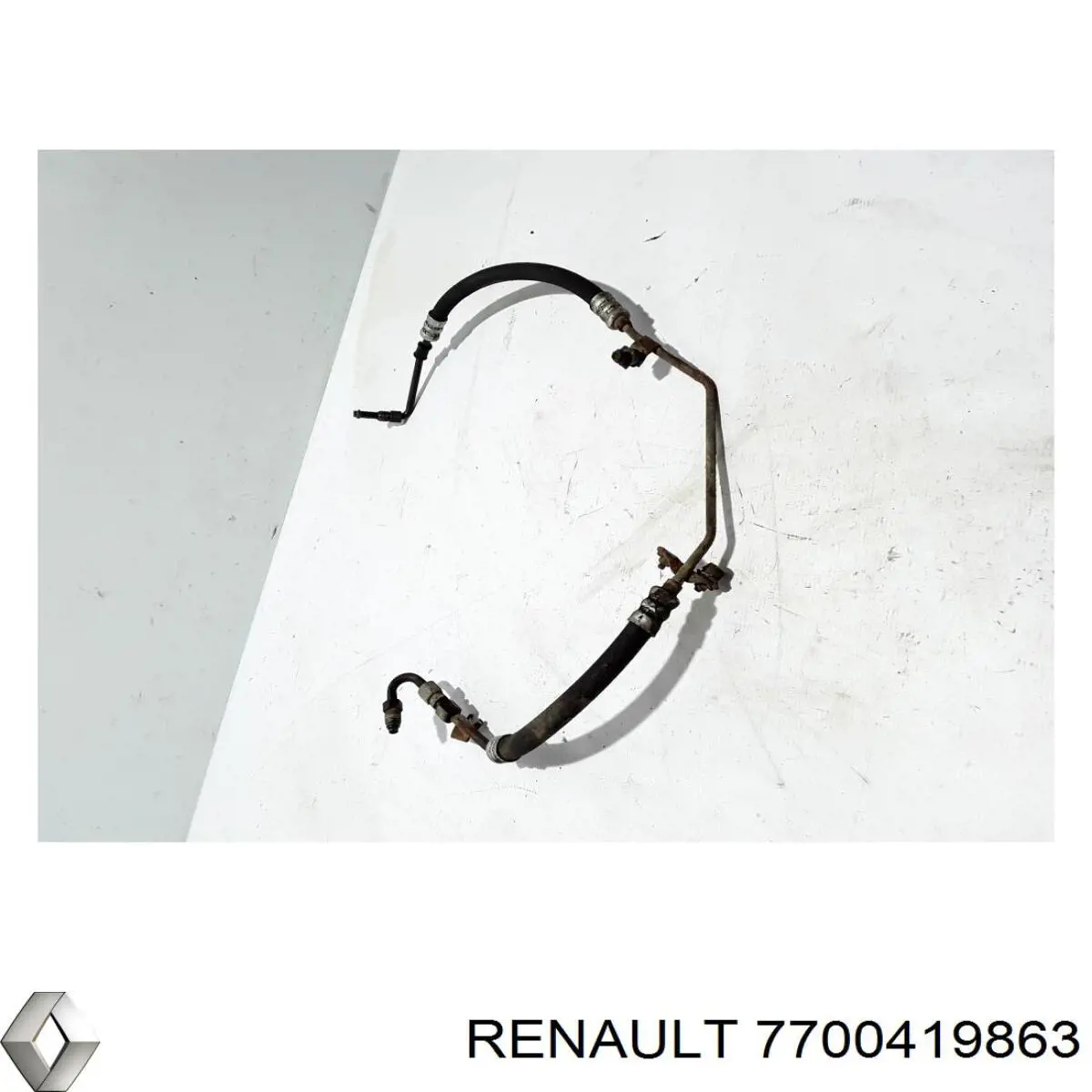 7700419863 Renault (RVI)