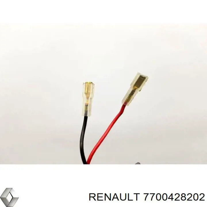 7700428202 Renault (RVI)