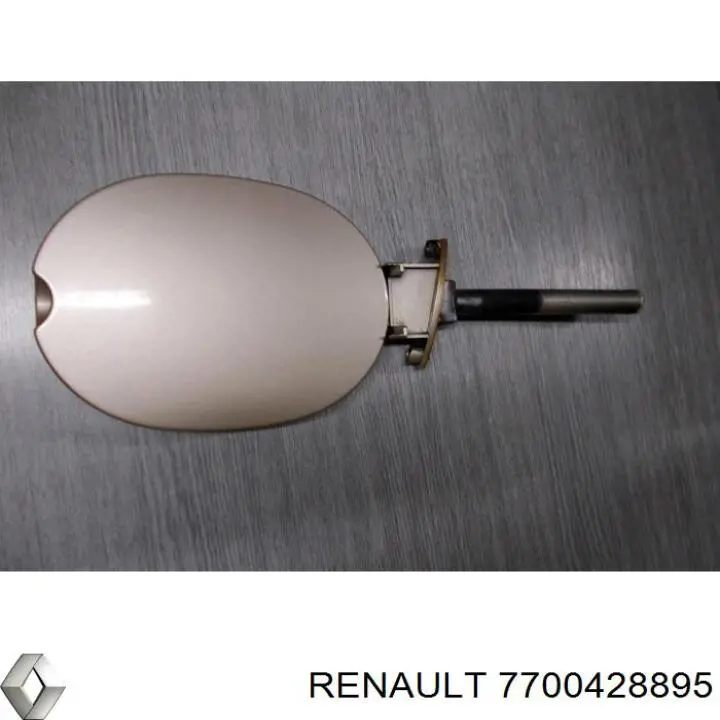 7700428895 Renault (RVI)