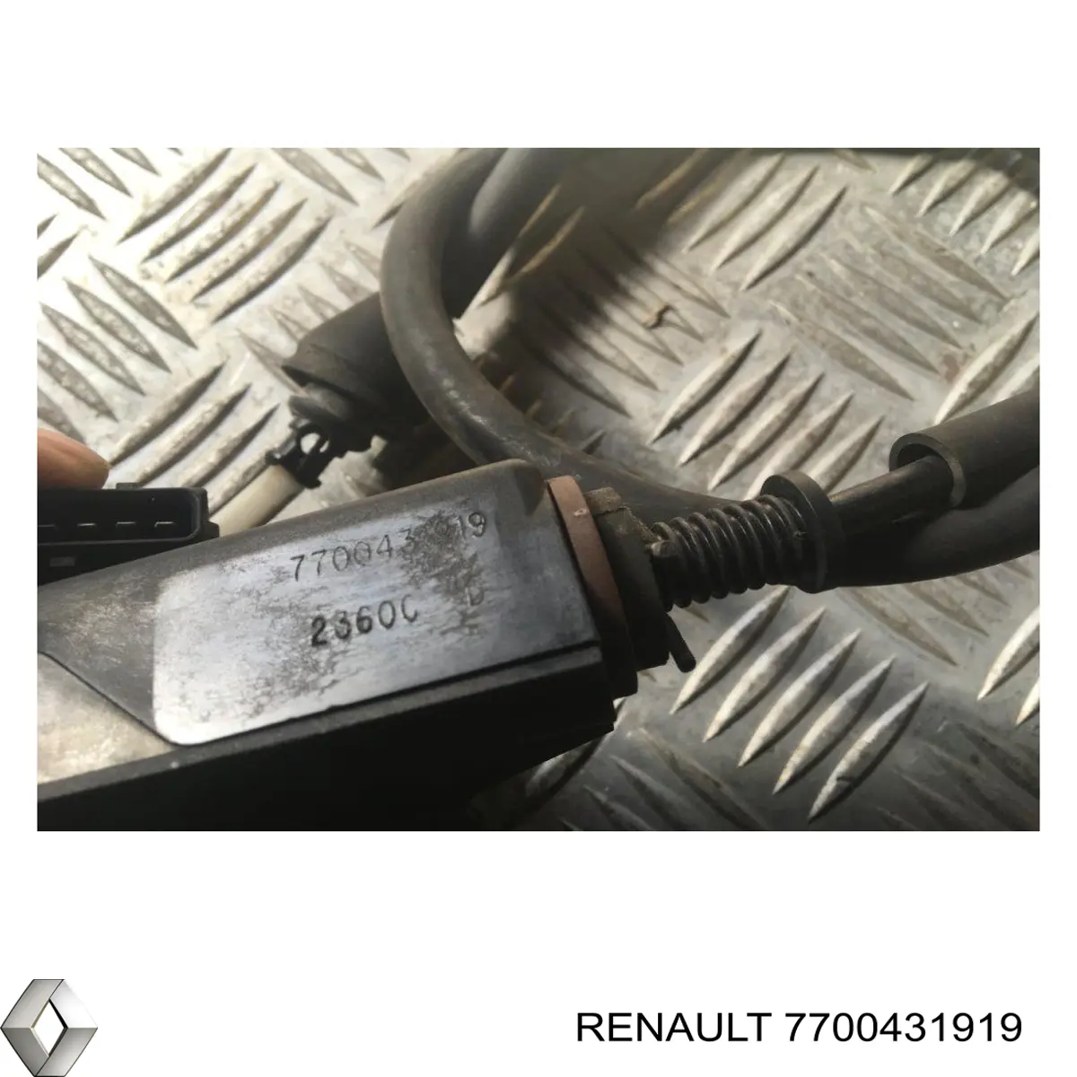 7700431919 Renault (RVI)