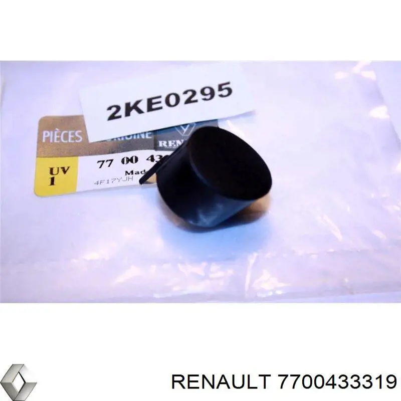 Tapa de la tuerca del brazo del limpiaparabrisas trasero Renault (RVI) 7700433319 precio, desde 2,96 EUR