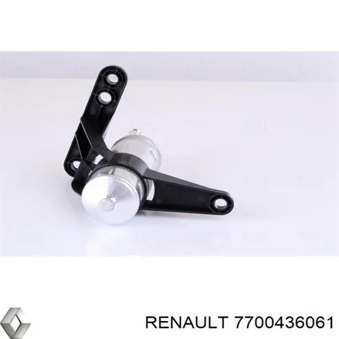 Filtro deshidratador 7700436061 Renault (RVI)