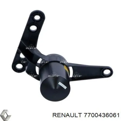 Filtro deshidratante Renault (RVI) 7700436061