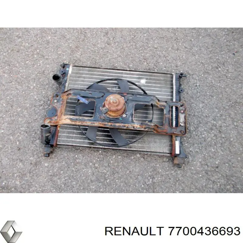 Comprar 7700436693 Renault (RVI) Radiador de auto